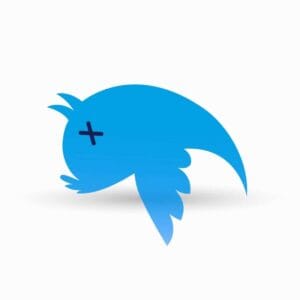 twitter bird